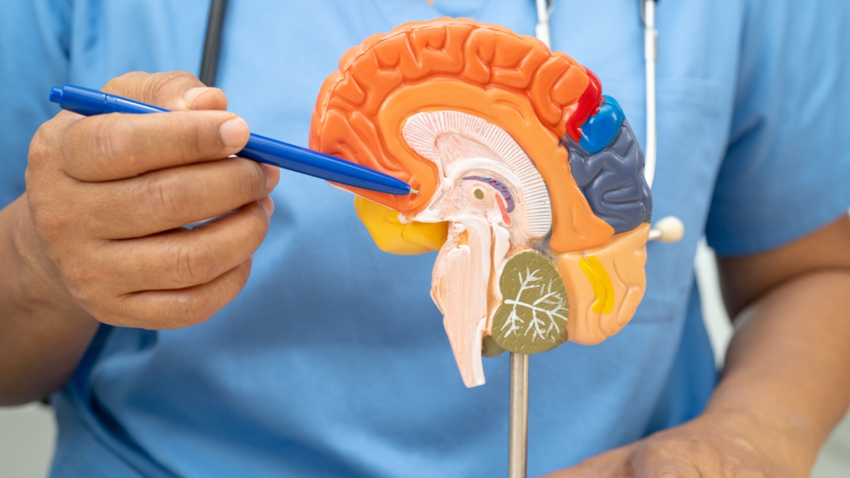 WhatsApp Image 2025-12-19 at 4.59.00 PM